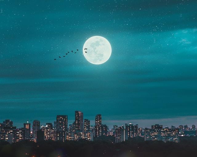 Cuando vayas a la luna
