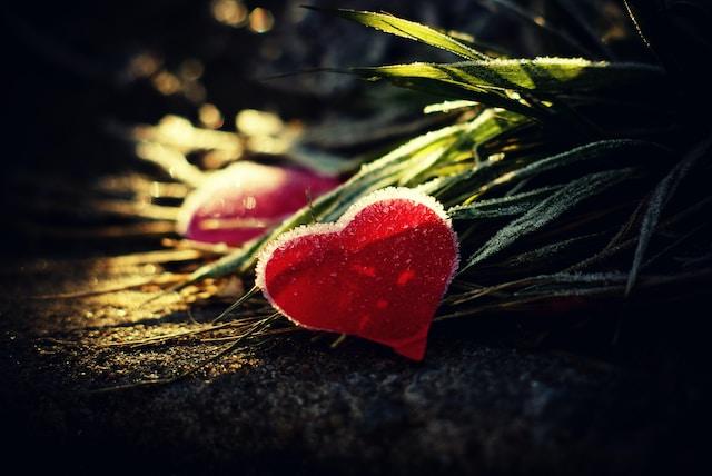 CorazoNadas de Ana Clavel