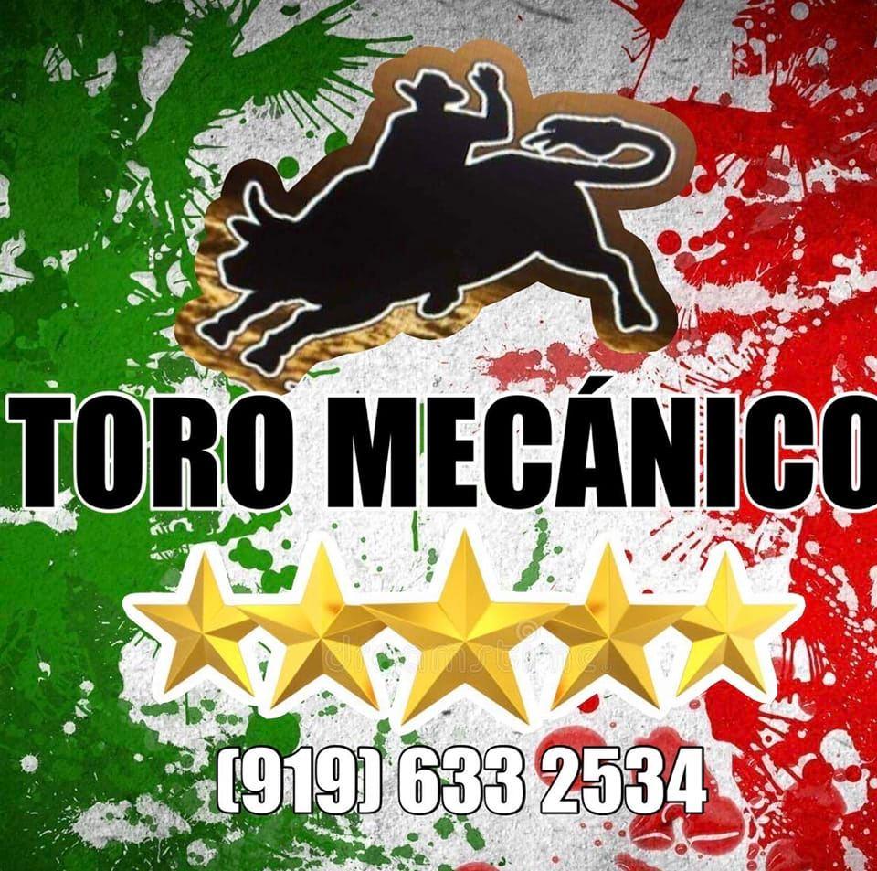Toro Mecanico El cinco estrellas
