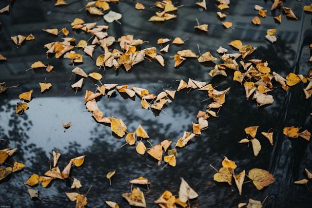 La Temporada del Amor
