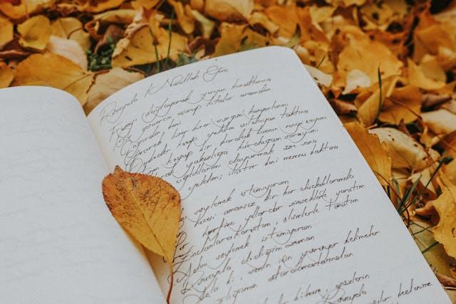 No puedo explicar qué es poesía