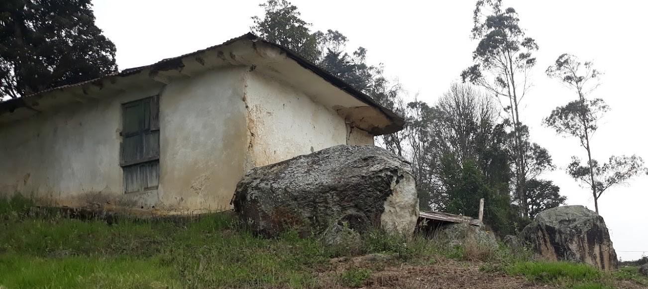 Congoja