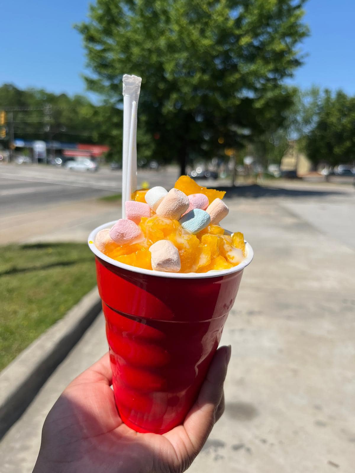 raspados el veracruzano 04