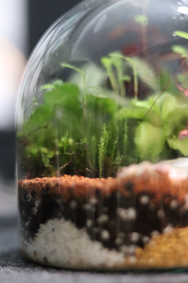 Photo by Mr. Pugo on Unsplash